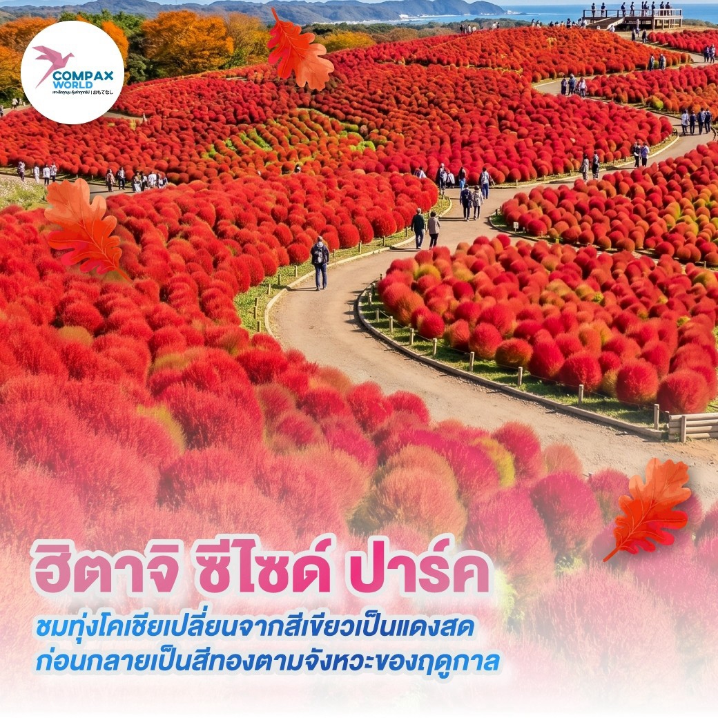 เที่ยวญี่ปุ่น ทัวร์ญี่ปุ่น ทัวร์ญี่ปุ่นพรีเมี่ยม โปรแกรมทัวร์ญี่ปุ่น